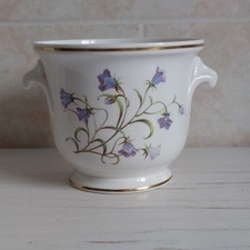 Spode Campanula Planter Plant Pot Bone China Footed Handles H 11cm Floral Flower