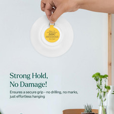 WINSOME Disc Plate Hangers for