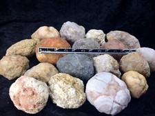 ONE Unopened GEODES 2"-3"