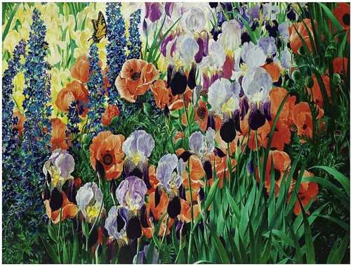 Flowers irises poppies boyd - irises, r.