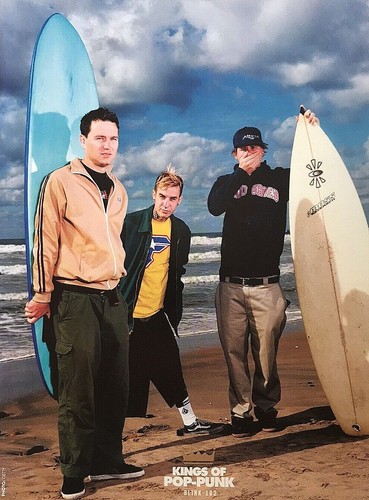 Blink 182 2018 a4 - blink,