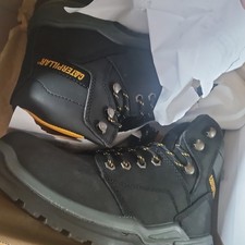 Cat Striver Injected Safety