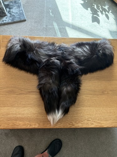 Real silver fox - silver,
