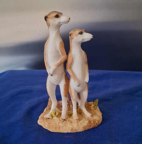 Sdl imports ltd meerkat - sdl,