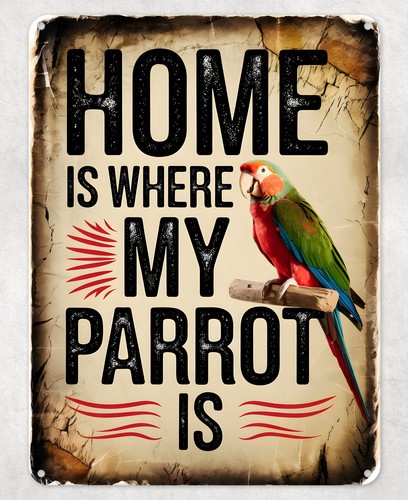 Home where parrot - home, my