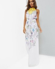 new Ted Baker maxi dress sz  3