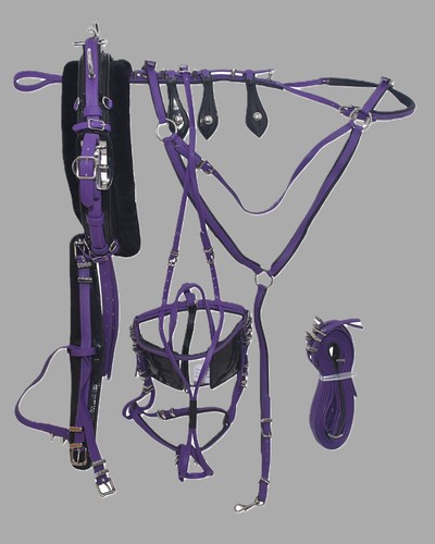 Quick hitch pvc trotting - hitch,
