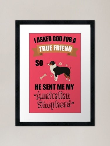 Australian shepherd mom dad - mom, &