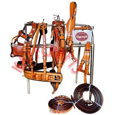 3 toned Leather Harness Set