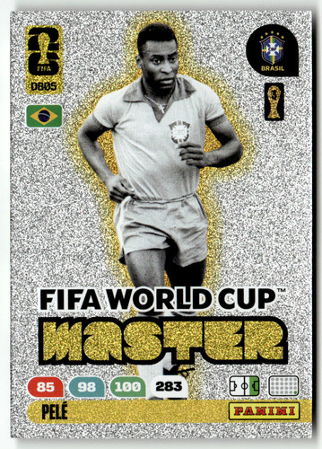 Panini fifa world cup - world,