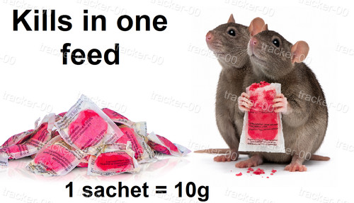 Rodent rat mouse strong killer - rodent,
