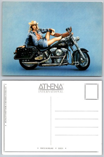 Athena postcard robin - robin, koni