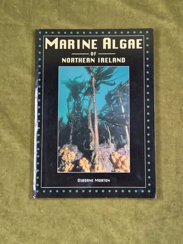 Marine algae northern - of,
