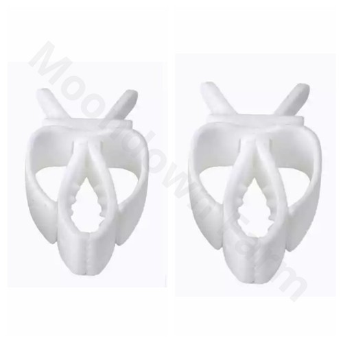 Cuttlefish holder - x,
