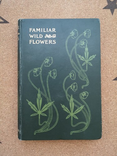 Familiar wild flowers - wild, flowers,