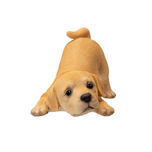 Pacific trading labrador - pacific,