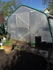 HAYGROVE Polytunnel  quality 6mtrs x4mtrs