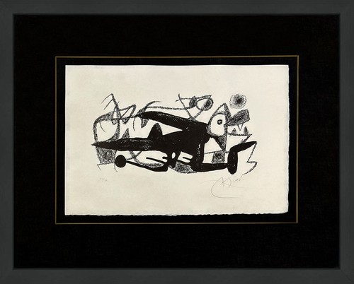 Joan miro fotoscop - joan, "fotoscop"
