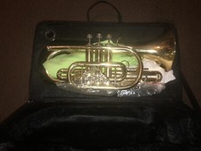 Capelle Student BB Cornet - Gold (SCR701)