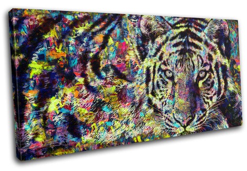 Wild tiger big - big, colourful