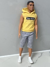 Barbie Ken Fashionistas New