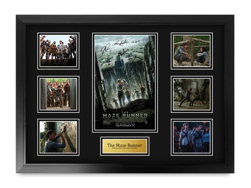 The maze runner excellent - runner, gift