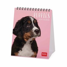 Puppies Easel Desk Calendar