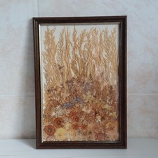 Vintage Pressed Dried Flower Picture Wall Hanging Wooden Frame Joan Green WEAR