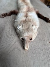 1950’s Real Fur Vintage Mink Stole