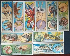 Animal Offence & Defence