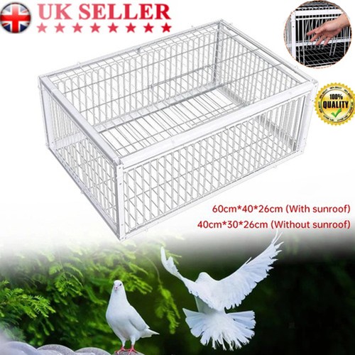Pigeon trap cage - trap, single