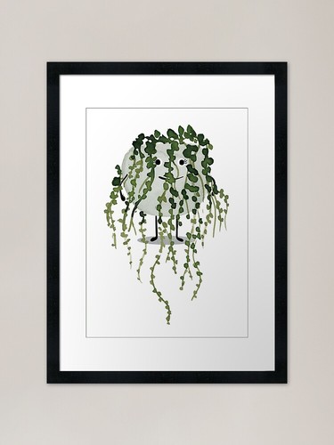 String pearls plant pal - pearls,