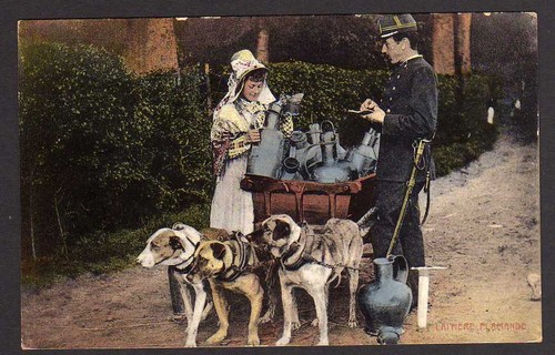 50693 postcard laitiere - postcard,