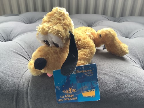 Pluto disneyland - , |