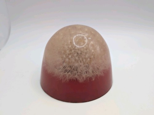Vintage dandelion flower - dandelion, resin