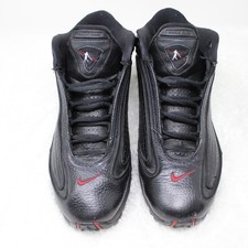 Nike Air Griffey Max GD 2