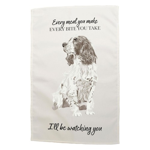 Springer spaniel dog - springer,