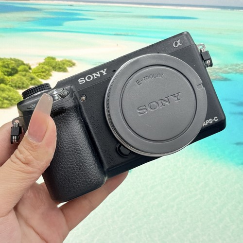 Sony alpha nex 1mp - alpha, nex-6