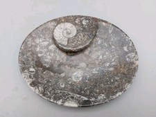 Moroccan Trinket Dish featuring Orthoceras and Ammonite Fossils (M25)