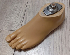 Otto Bock 1WR95  foot