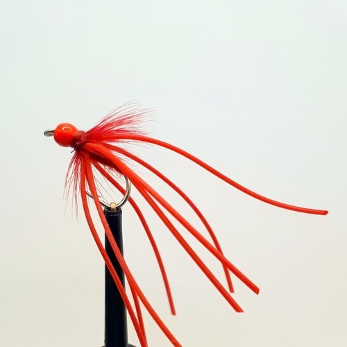 Red bead octopus bloodworm - x,