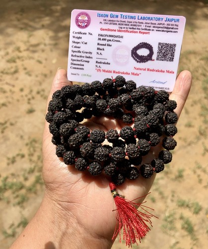 Lab certified mukhi - lab, 5