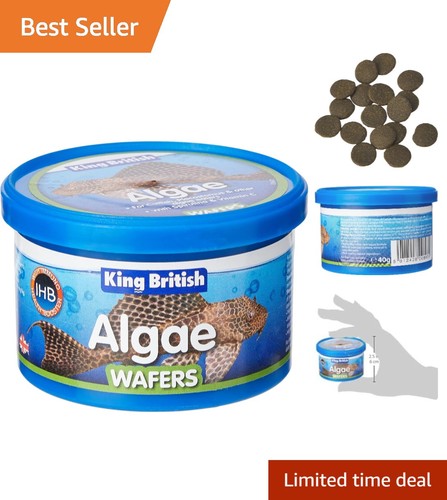All life stages algae - life,