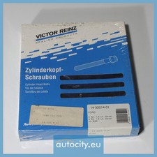 REINZ 14-32014-01 Bolt Kit