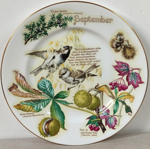 Caverswall september plate - caverswall,