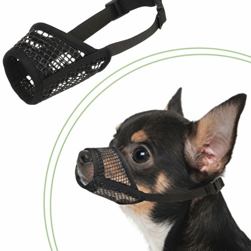 Dog muzzle mini - dog,