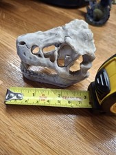 Small Skull Vivarium Decor