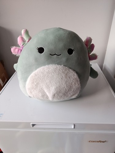 Squishmallows chasman the - squishmallows,