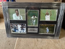 Lord Ian Botham Framed Photo Montage
