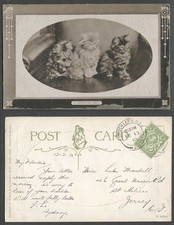Cat Kitten 3 Cats Kittens A Winsome Trio Pets Animals 1912 Old Embossed Postcard